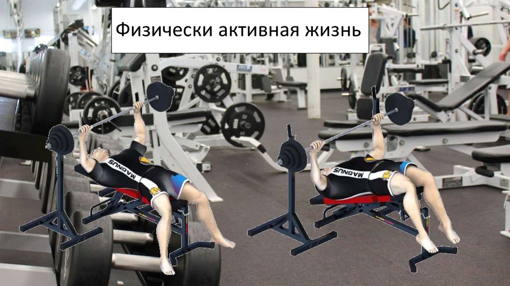 Физически активная жизнь