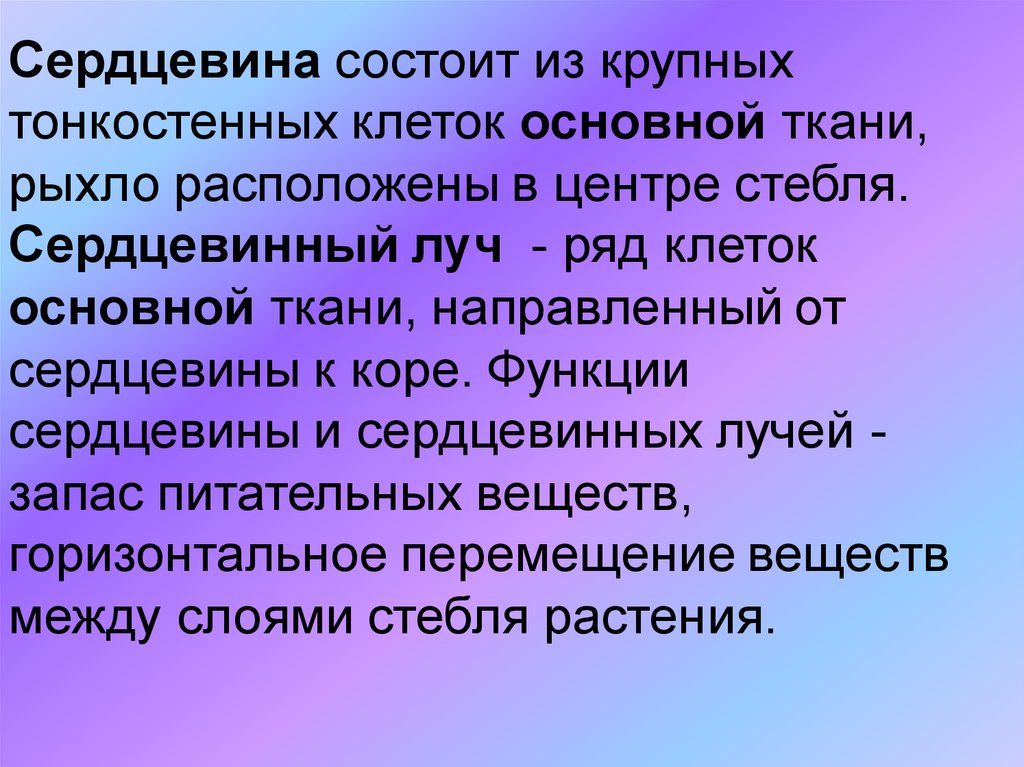 Основная функция сердцевины