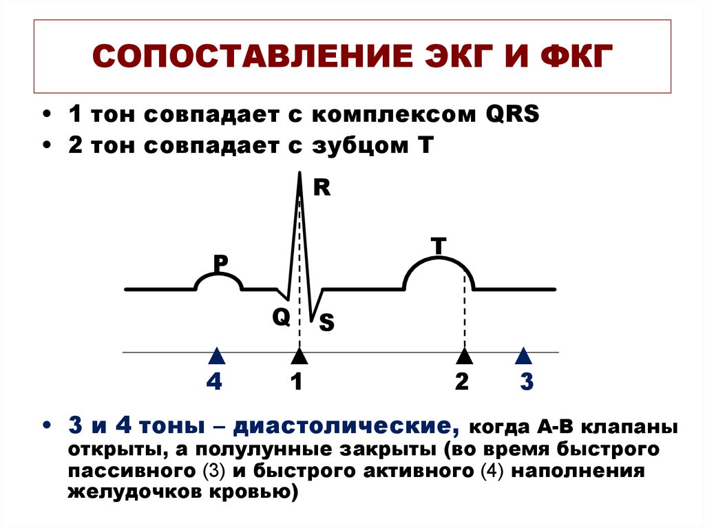 Работа сердечных клапанов