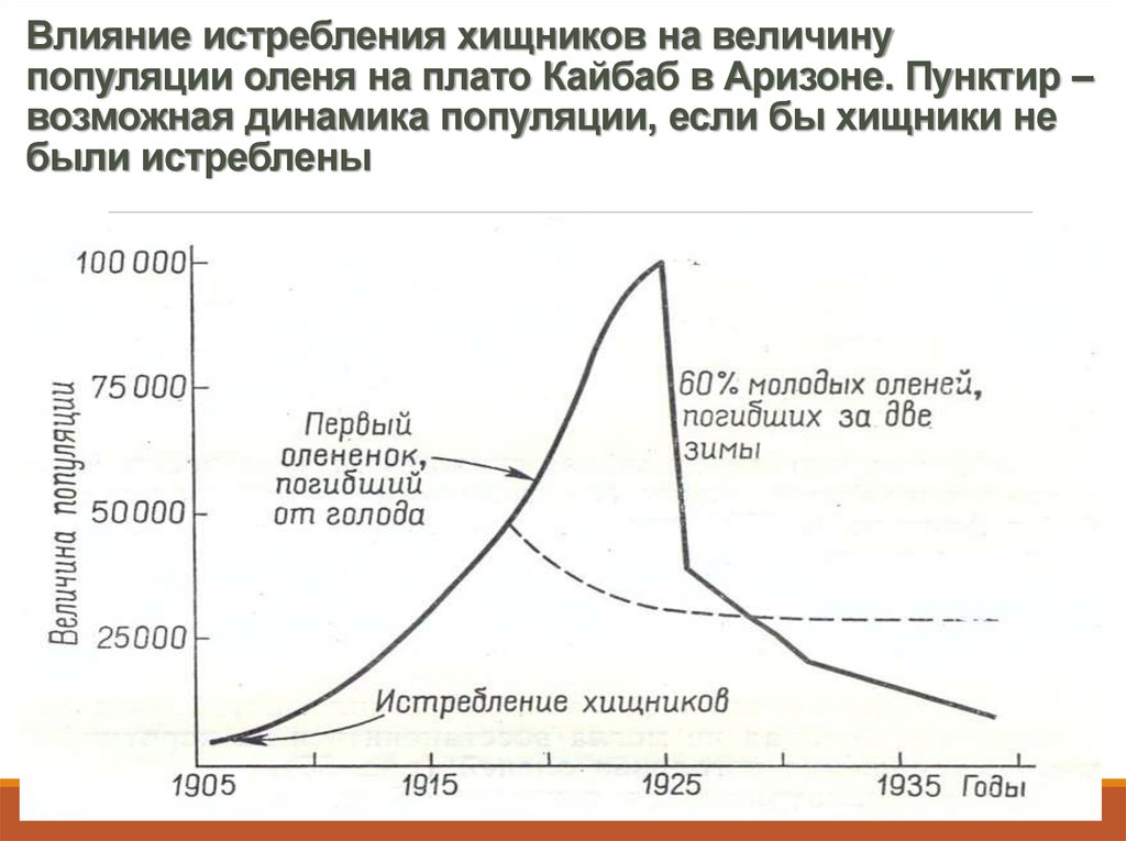 Динамика популяции. Величина популяции. Стабильная популяция график. Динамика популяций график. Регулирование численности популяции график.