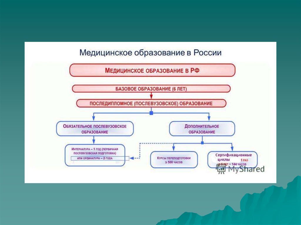 Состояние медицинского образования. Основные разделы медицины. Деление разделов медицины. Послевузовское медицинское образование. Разделы в медицине по органам системам.