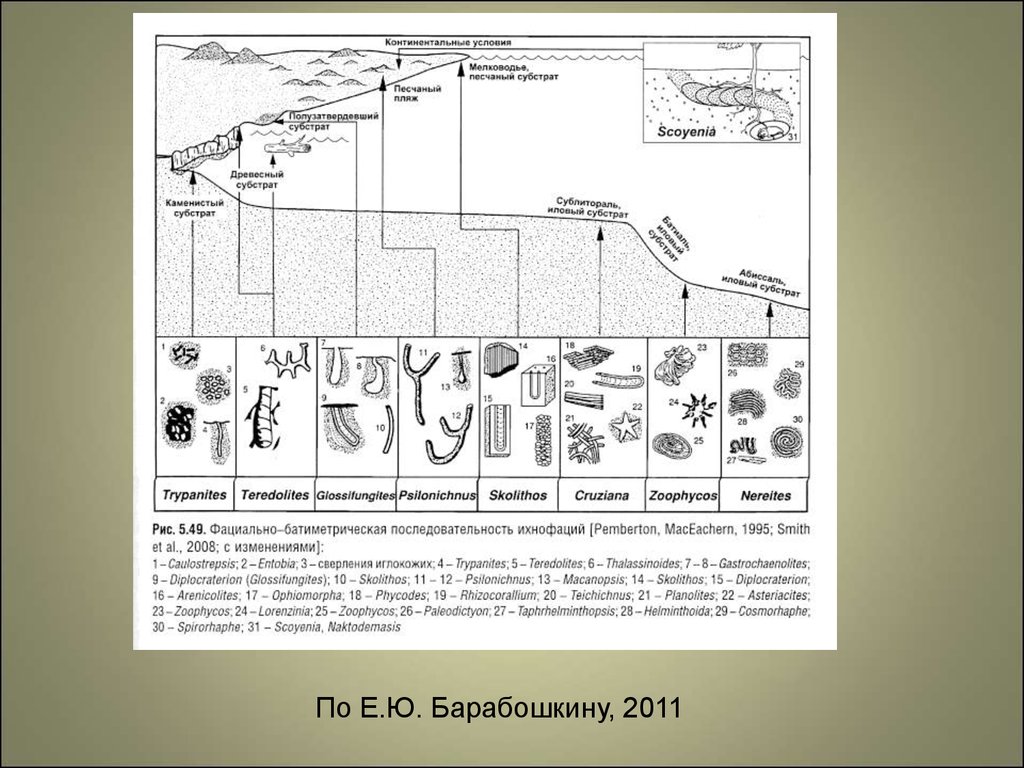 Презентация лекций по геологии