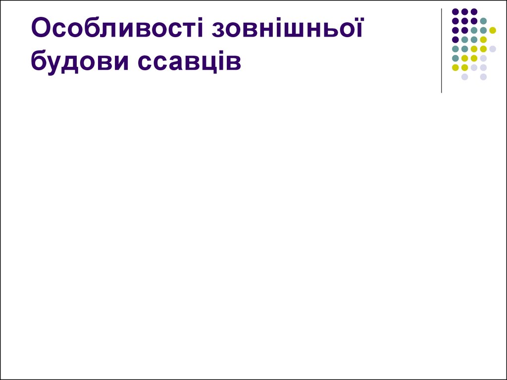 Реферат: Парнокопитні і непарнокопитні ссавці Мавпи Як вищий клас ссавців