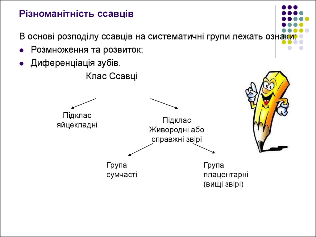 Реферат: Парнокопитні і непарнокопитні ссавці Мавпи Як вищий клас ссавців