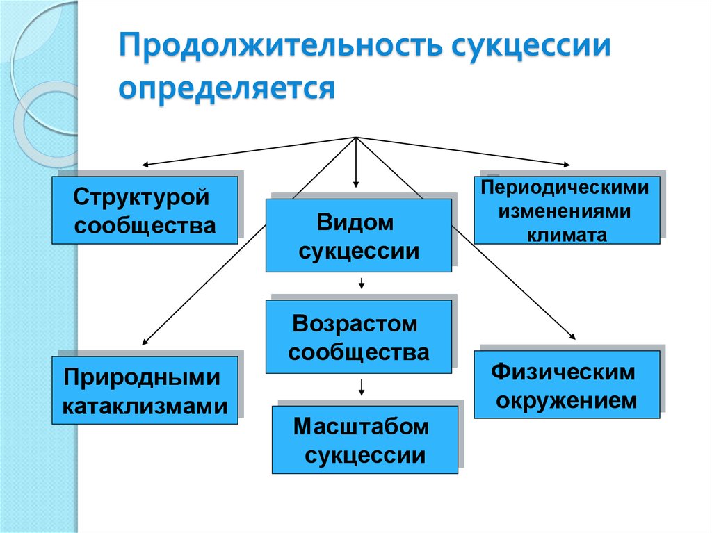 Причины сукцессии схема