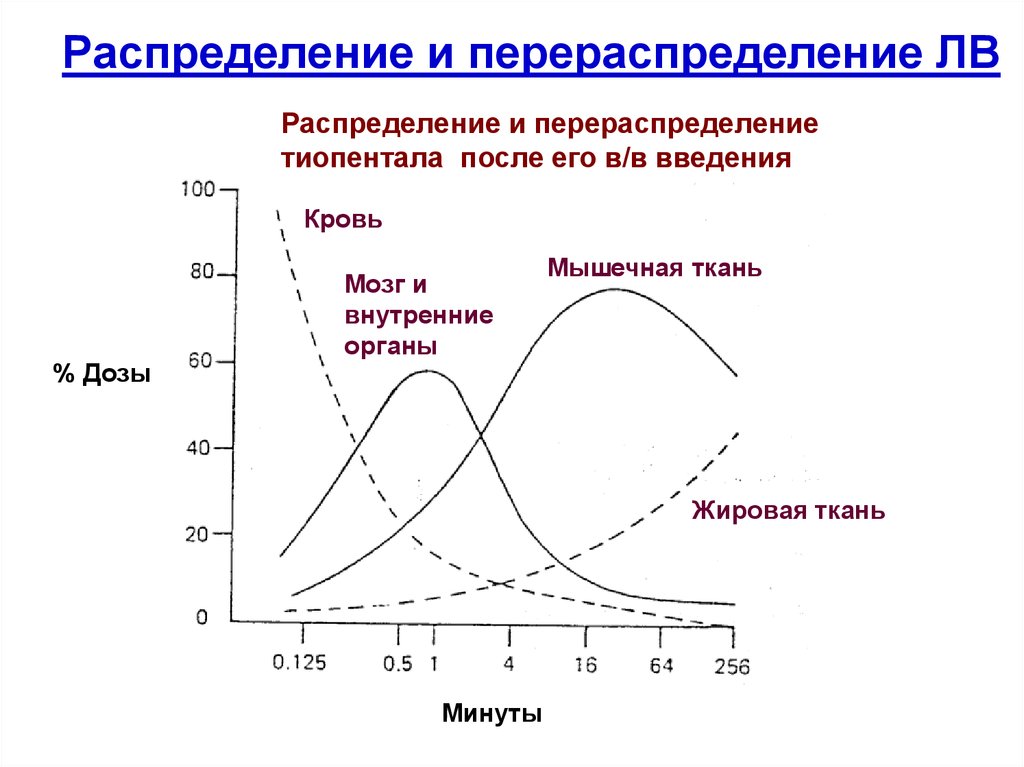 Распределение и перераспределение. Распределение. Распределение фармакология. Распределение и перераспределение благ в экономике.