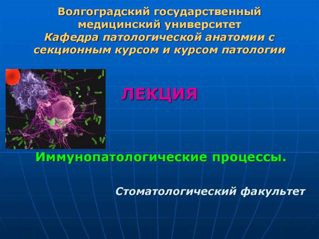 Иммунопатология патофизиология презентация