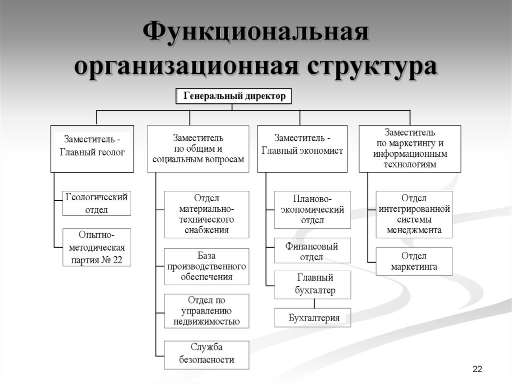 Организации функциональной деятельности и управления