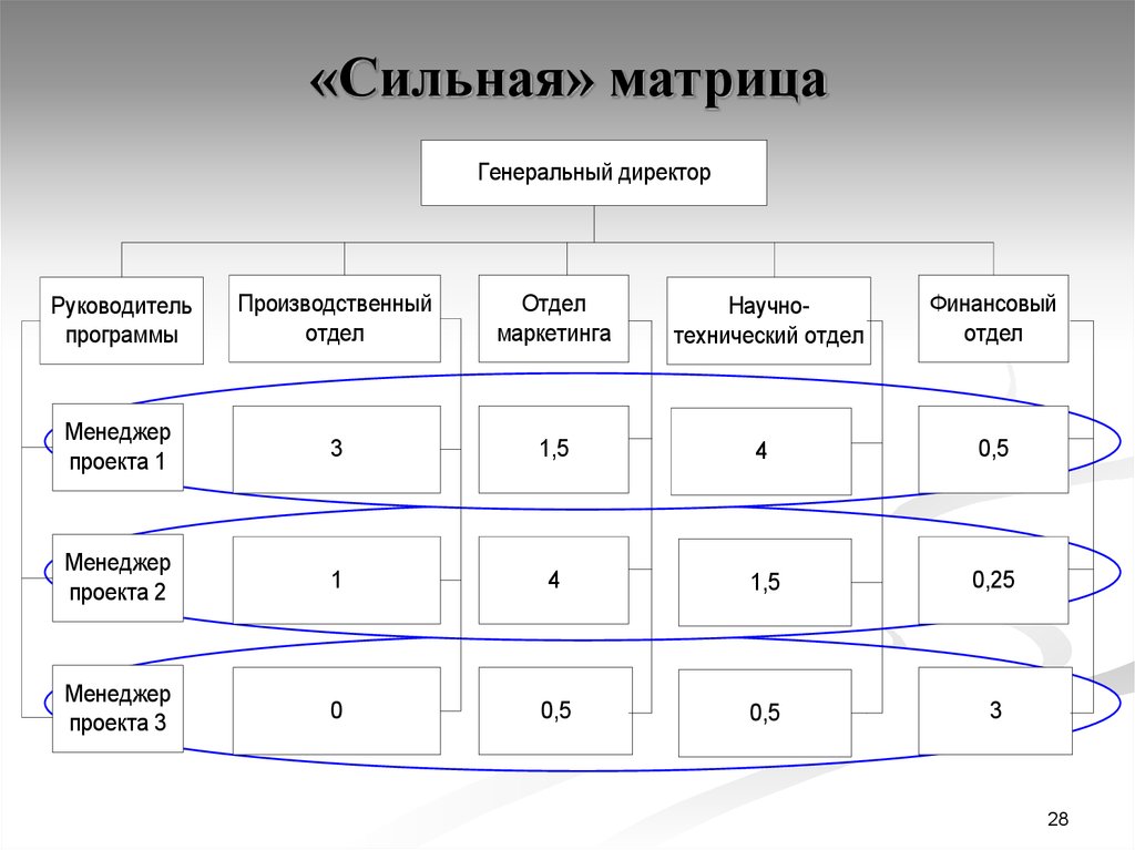 Сильная матричная структура проекта