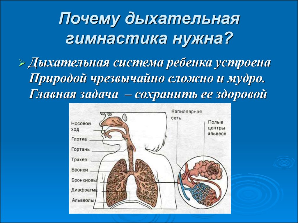 Дыхательная гимнастика презентация для студентов