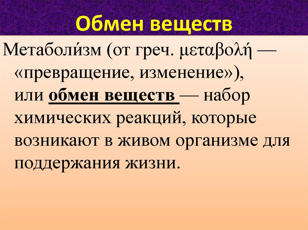 Правила обмена веществ