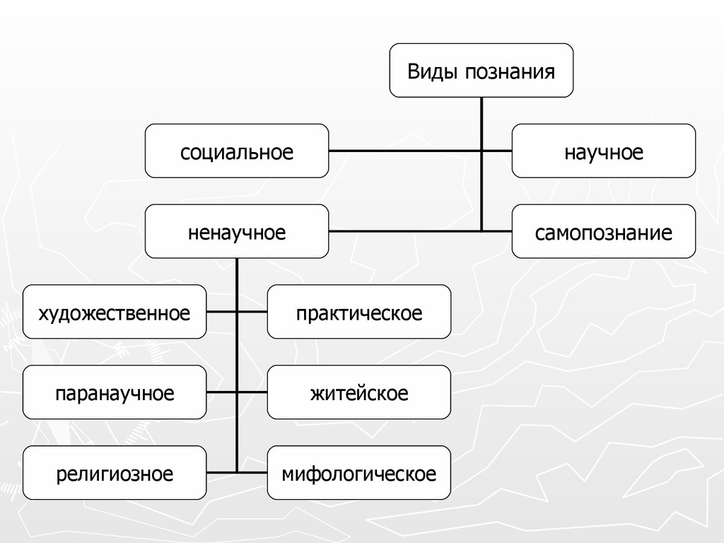 Основные формы познания схема