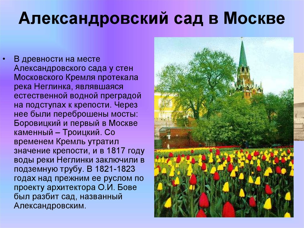 Сады сообщение. Презентация Александровский сад Москва. Александровский сад кратко. Описание сада. Сообщение об Александровском саде.