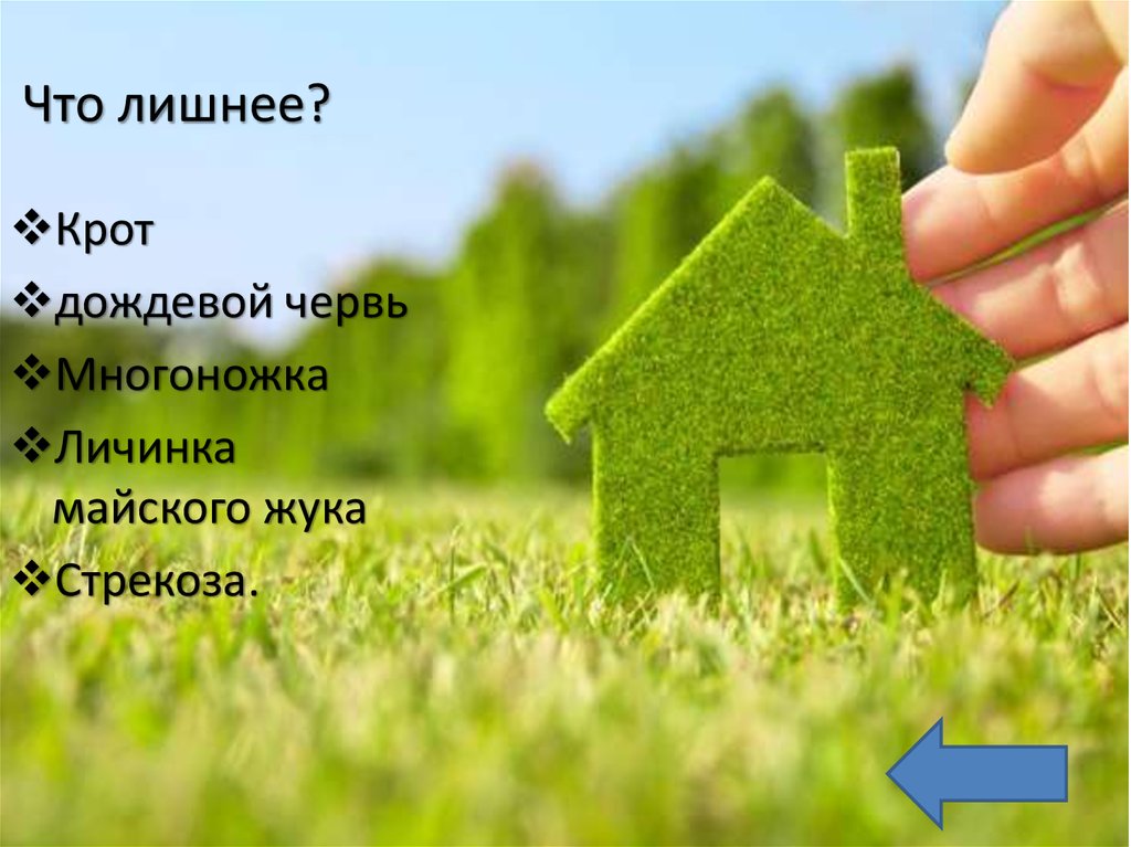 Что лишнее?