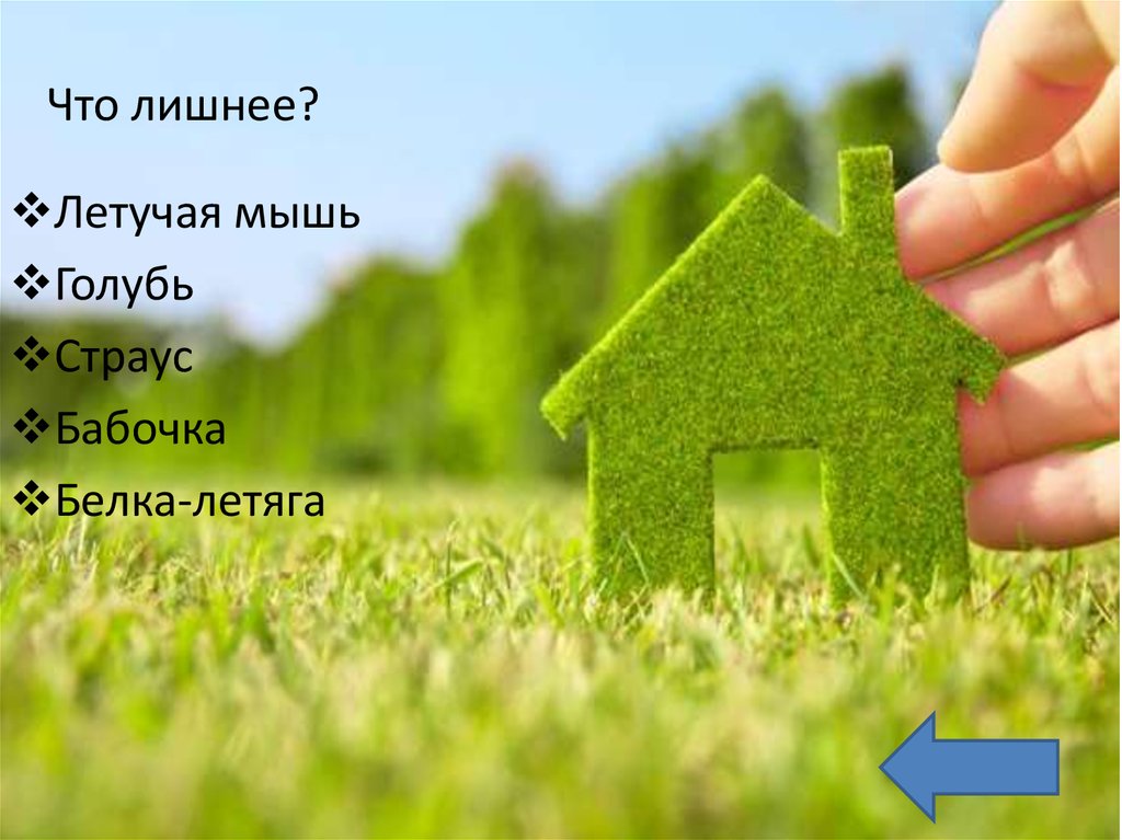 Что лишнее?