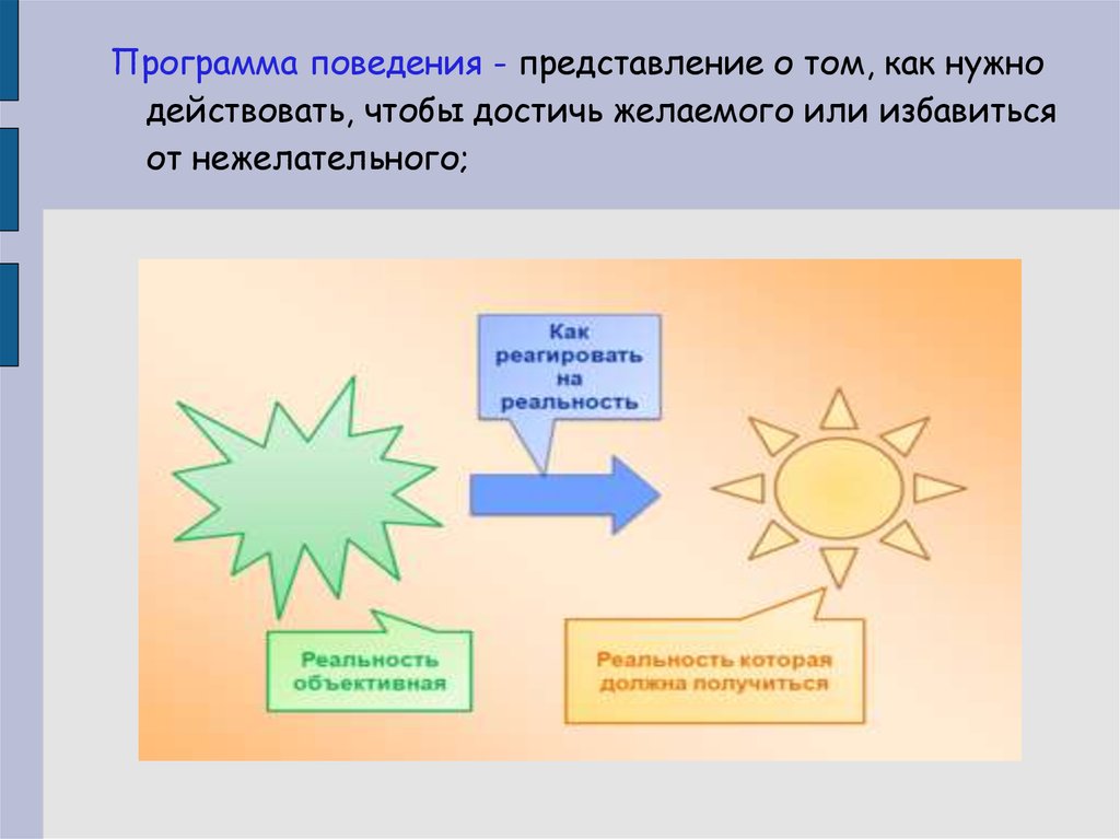 Концепция поведения. Программы поведения. Программа поведения схема. Поведенческие программы человека. Биологическая программа поведения.