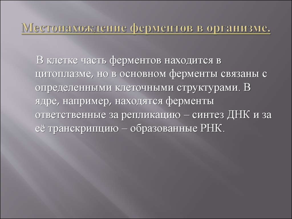 Местонахождение ферментов в организме. Ферменты фото для презентации. Местонахождение ферментов в организме фото. Местонахождение ферментов в цитоплазме.