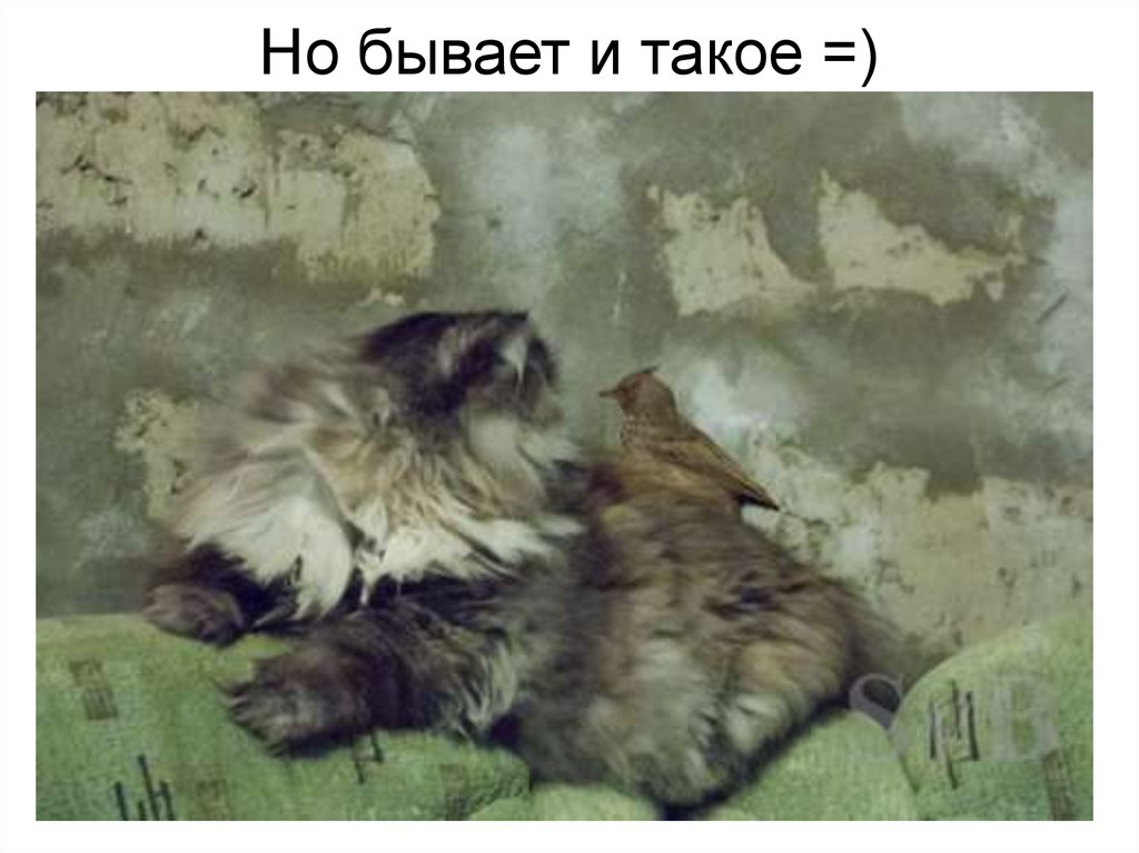 Но бывает и такое =)