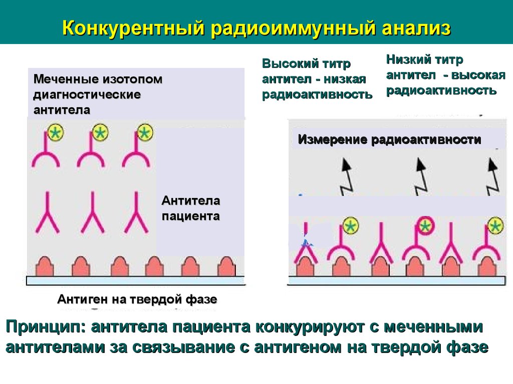 Риа схема микробиология