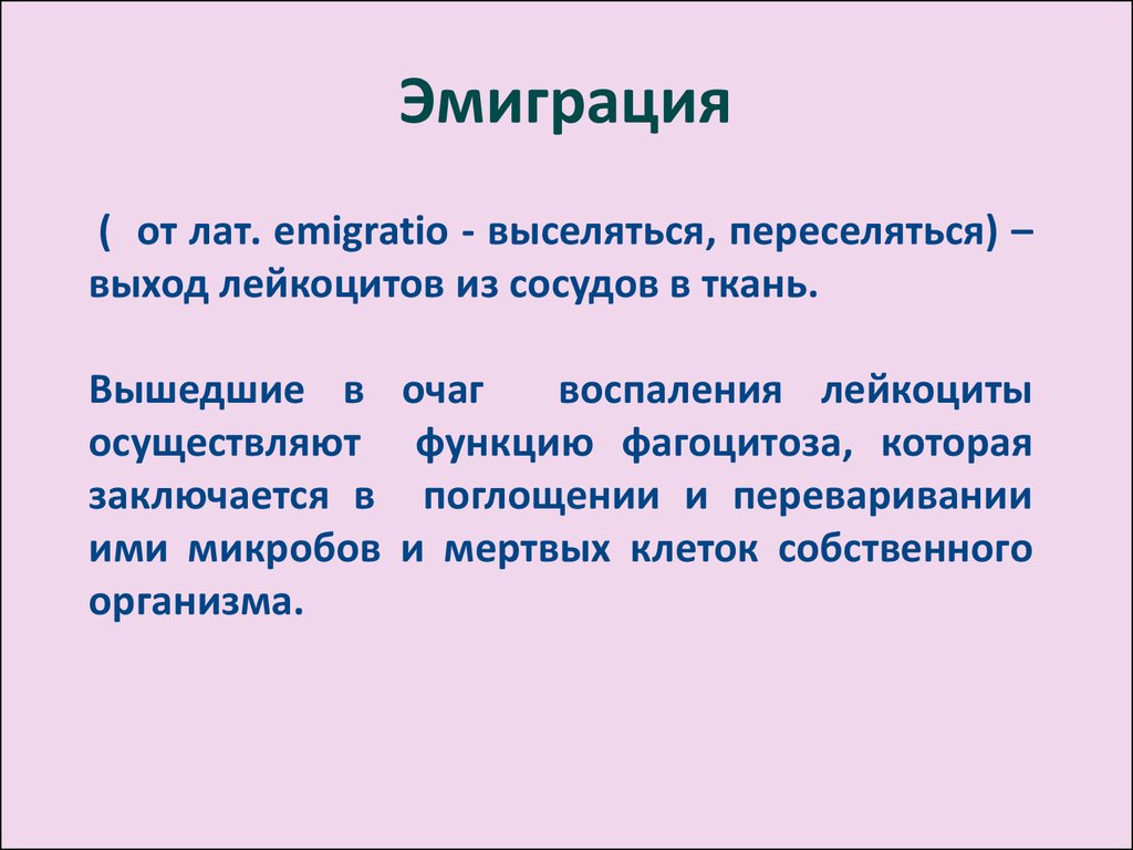 Эмиграция это. Выход лейкоцитов из сосудов. Роль фагоцитоза в патогенезе воспаления. Эмиграция в фагоцитозе. На ривания стодика анастезиски.