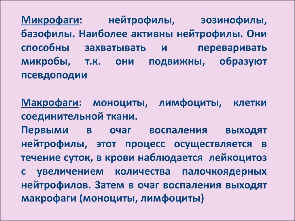 Наиболее активны. Микрофаги. Микро и макрофаги. Макрофаги и микрофаги иммунология. Макрофаги микрофаги микробиология.