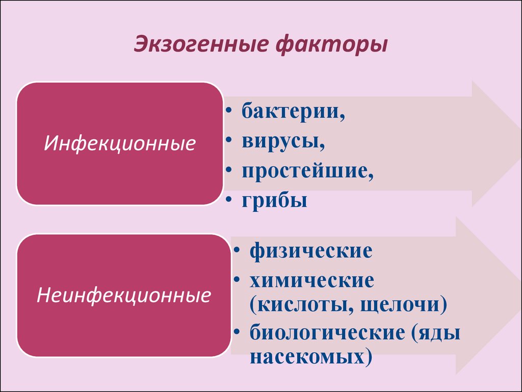 Экзогенные факторы. Лейкомогенные факторы. Эндогенные и экзогенные факторы. Экзогенные факторы примеры.