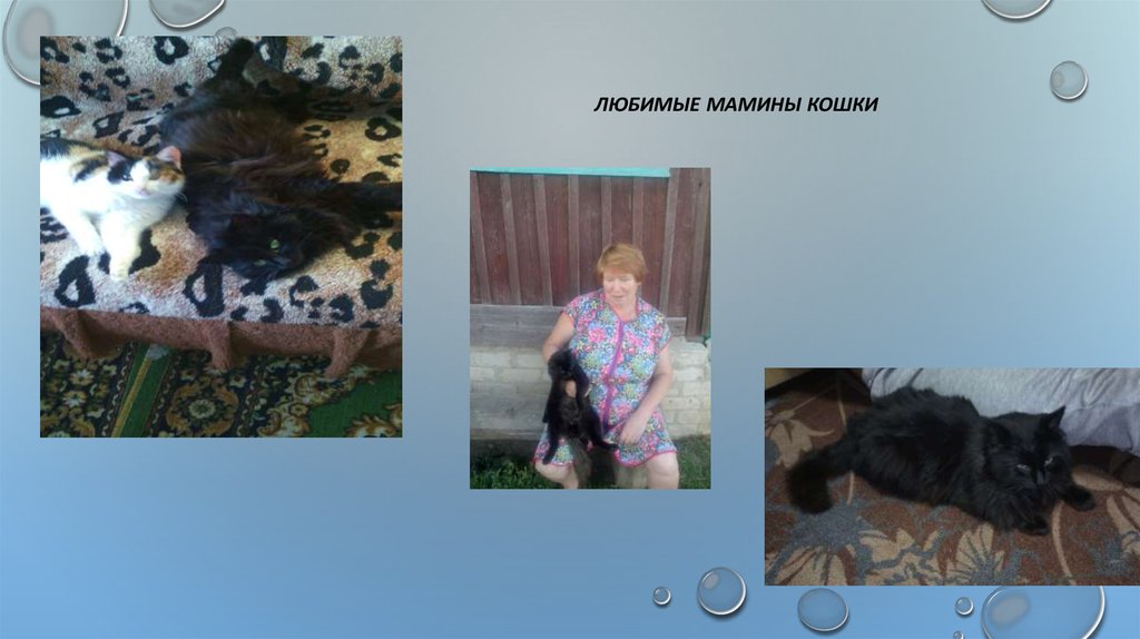 Любимые мамины кошки