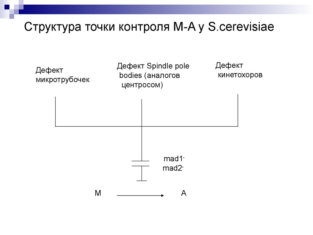 Точка контроля. Структура точки.