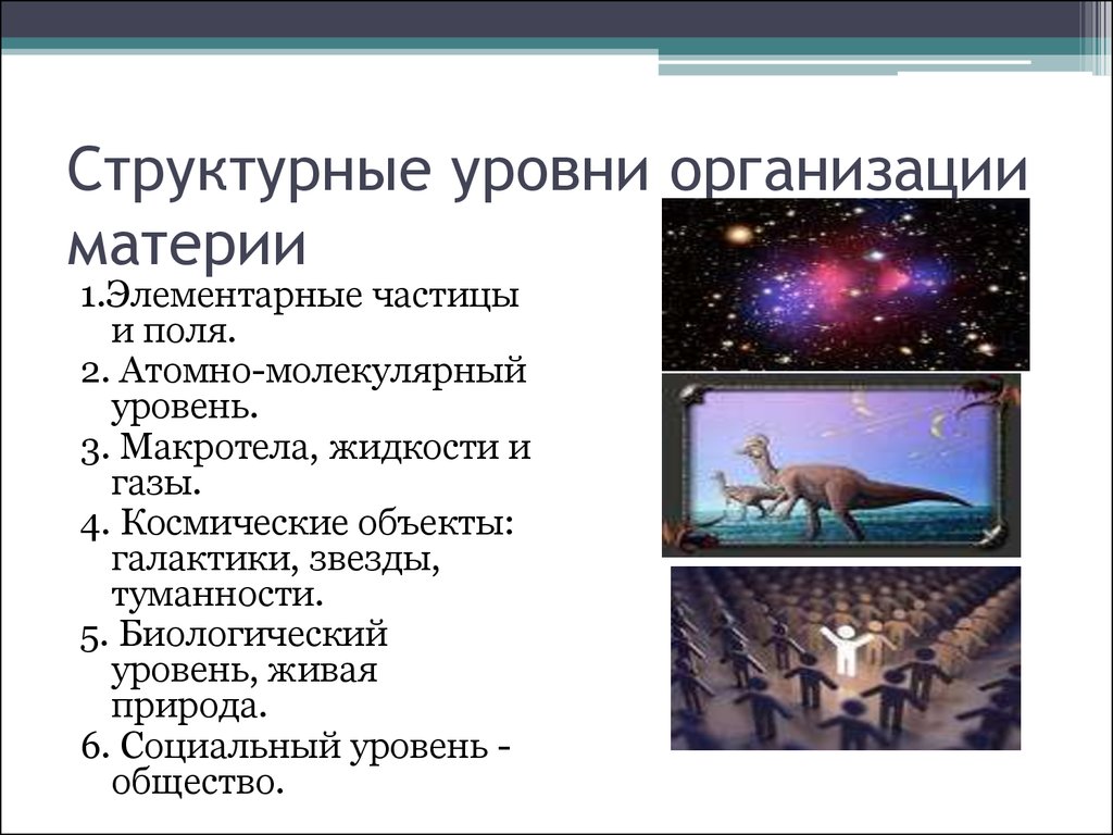 Организация материи. Структурные уровни организации неживой и живой материи. Структурные уровни организации материи. Структурная организация материи. Уровни структурной организации.