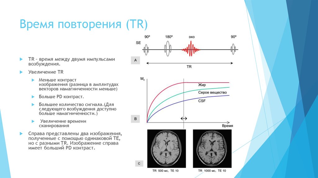 Время между импульсами. Повторение во времени. График усиление контраста изображения при передаче импульсов в мозг. Прибор для повторения времени. Повторяющееся время.