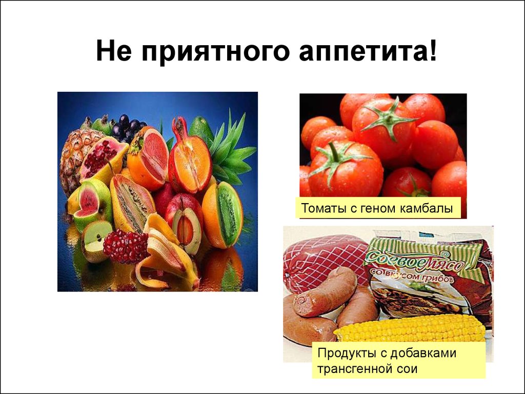 Томат гена. Генномодифицированные продукты презентация. ГМО презентация. Модифицированные продукты питания презентация. Продукты с ГМО С генами.