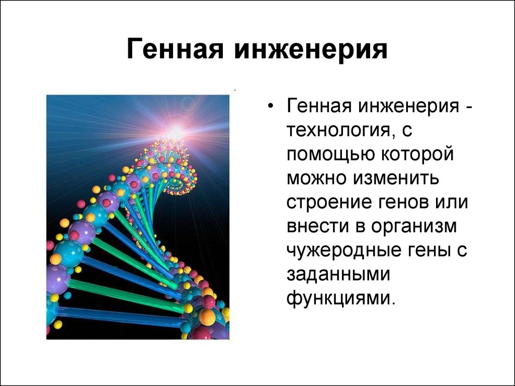 Презентация по теме генная инженерия