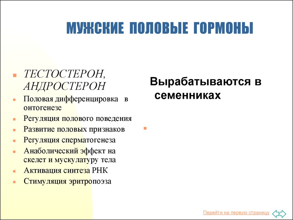 Презентация на тему мужские половые гормоны