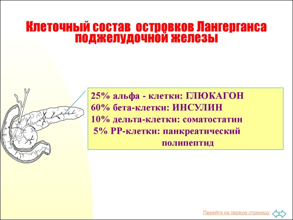 Поджелудочная железа клетки. Гормон Альфа-клеток островков Лангерганса поджелудочной железы. Альфа и бета клетки островков Лангерганса. Глюкагон Альфа клетки остравка Лангерганса. Клеточный состав островков Лангерганса.