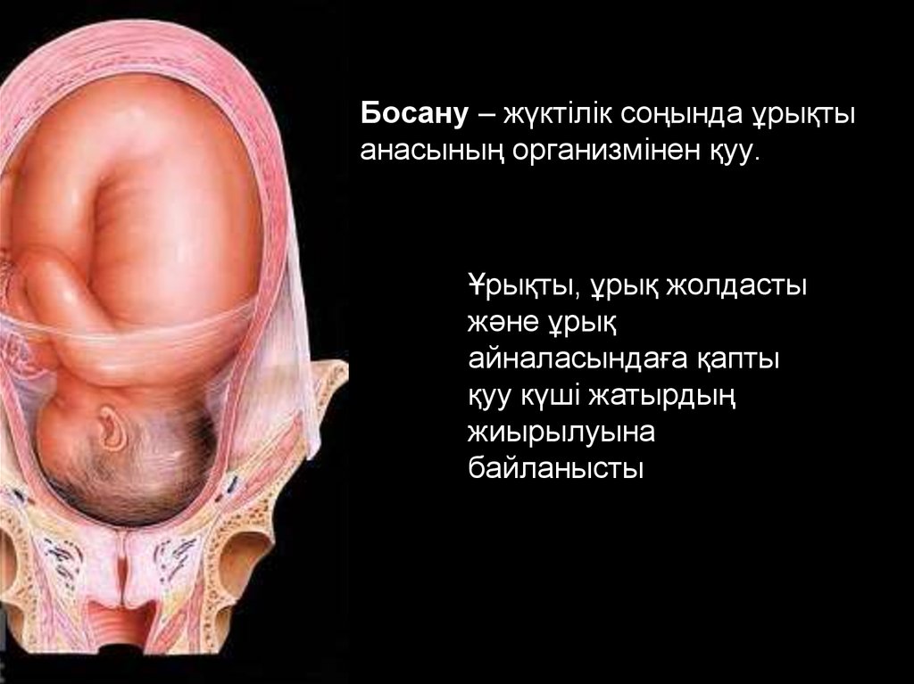 Беременность сокращения. Сокращение матки в родах.