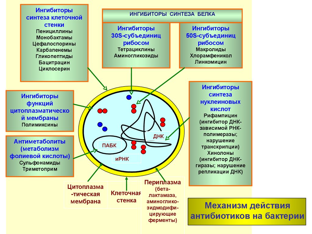 Разрыв среды. Влияние физических факторов на микроорганизмы. Физические факторы влияющие на жизнедеятельность микроорганизмов. Факторы внешней среды действующие на микроорганизмы микробиология. Влияние физических факторов на жизнедеятельность микроорганизмов.
