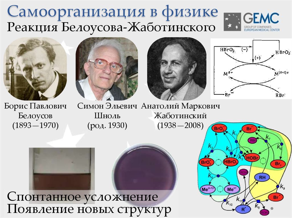 Известный реакция. Анатолий Маркович Жаботинский. Реакция Белоусова-Жаботинского в хорошем качестве. Колебательная реакция Белоусова-Жаботинского. Борис Белоусов Химик.