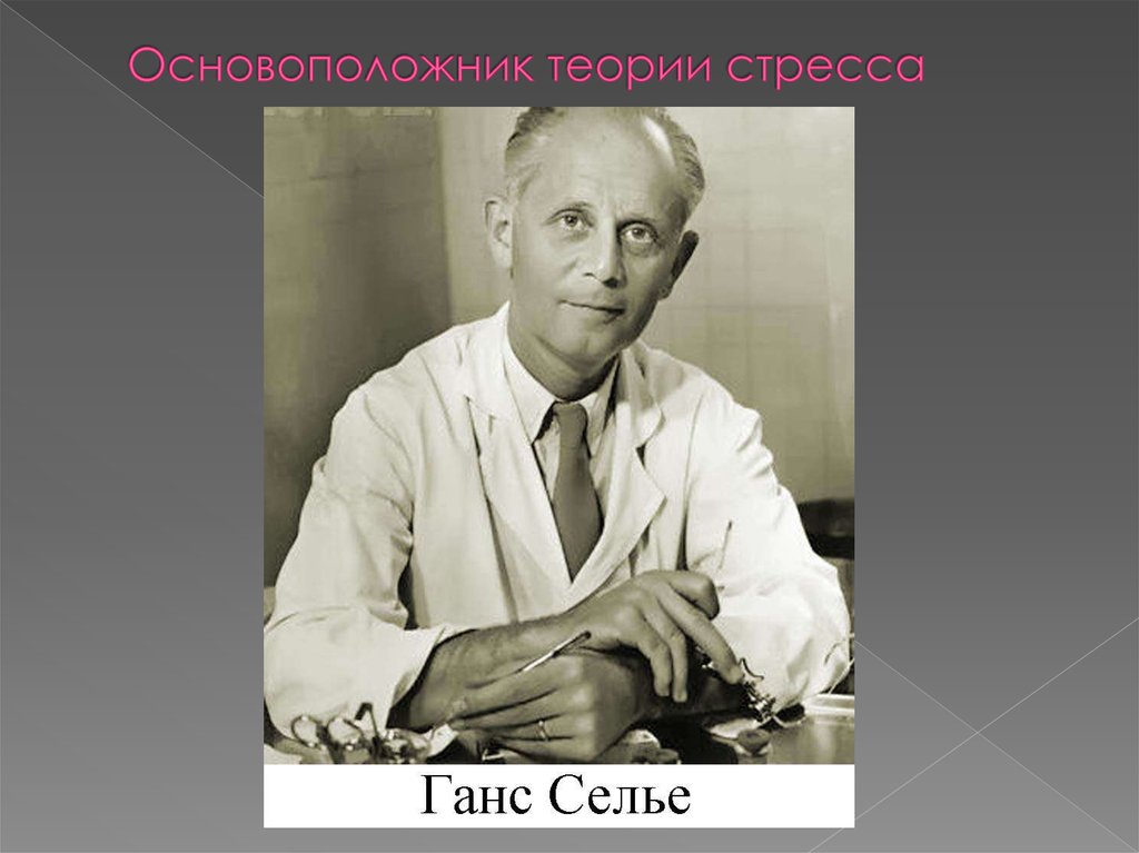 Основатель учения. Канадский физиолог Ганс Селье. Ганс Селье портрет. Основоположник стресса Ганса Селье. Автор теории стресса Ганс Селье.