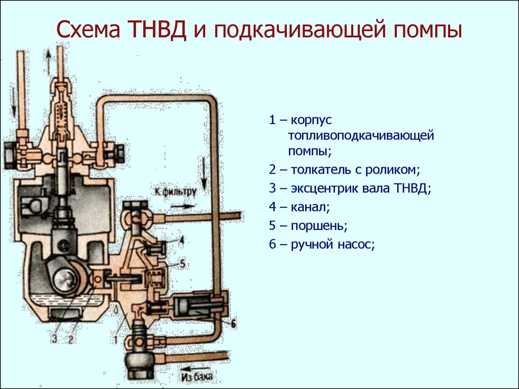 Топливный высокого давления. Подкачивающий насос ТНВД 773 схема. ТНВД принцип работы схема. ТНВД дизельного двигателя схема. ТНВД схема дизель устройство.