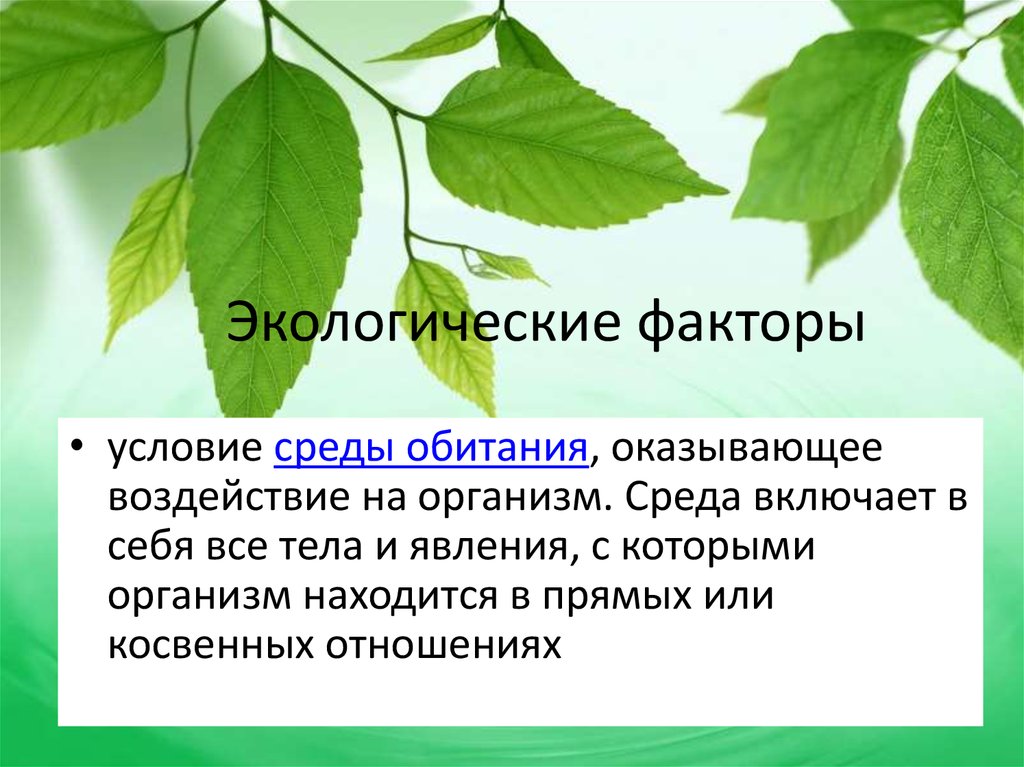 Условия жизни на земле среды жизни и экологические факторы презентация