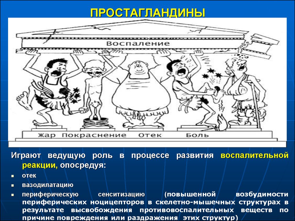 Ведущая роль в развитии. Простагландины. Простагландины функции. Роль простагландинов. Простагландины это.