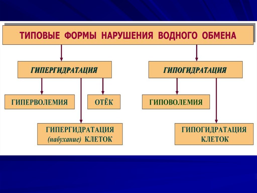 Гипогидратация. Типовые формы патологии клеток. Типы формы нарушения. Формы патологии водного обмена. Типовые патологические формы это.