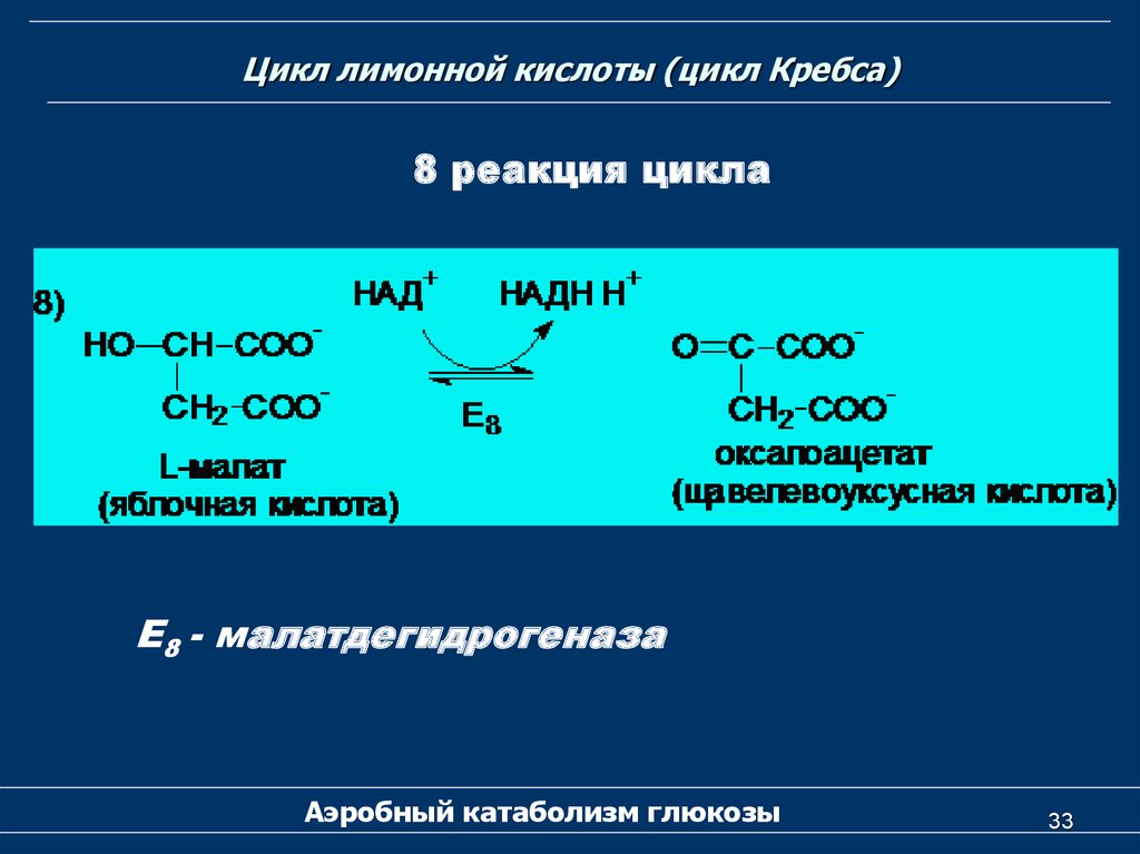 3 реакция цикла кребса. Реакции цикла лимонной кислоты. Цикл лимонной кислоты цикл Кребса. Цикл Кребса лимонная кислота. Цикл Кребса реакции.