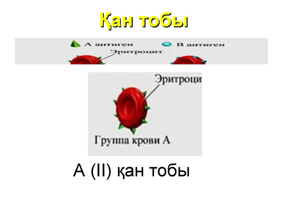 Қан тобы