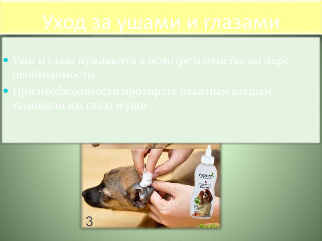 Уход за ушами и глазами