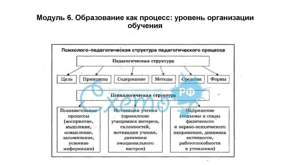 Уровни процесса обучения. Образование как процесс. Организационный уровень образования. Уровни содержания педагогического процесса.