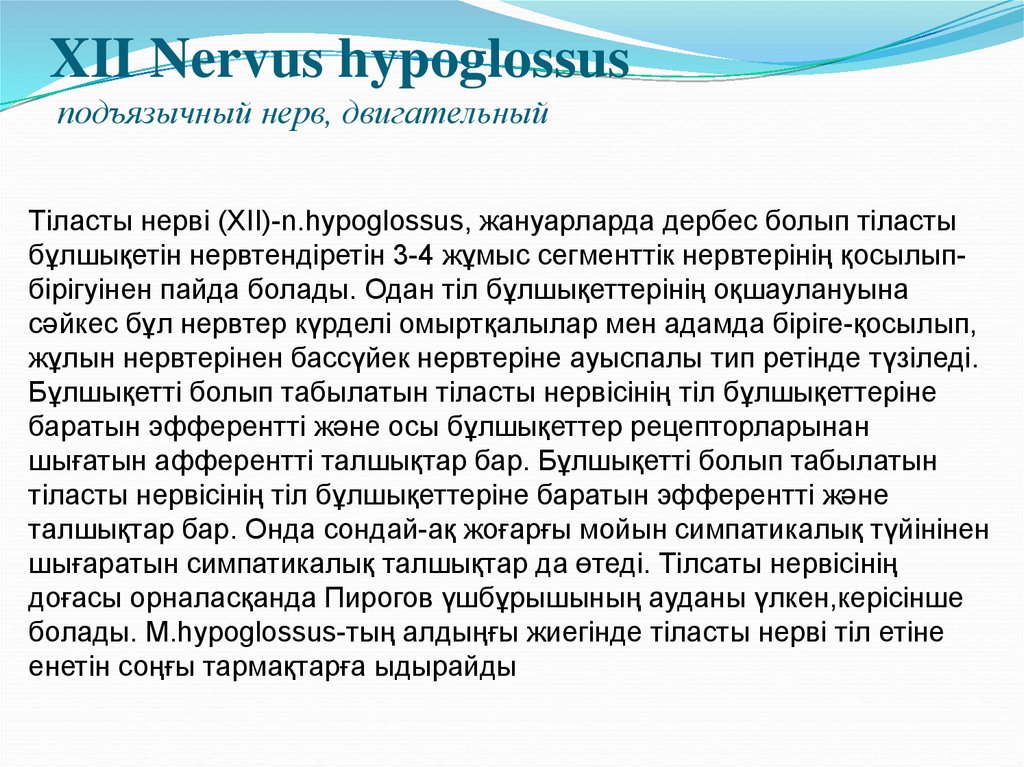 XII Nervus hypoglossus подъязычный нерв, двигательный