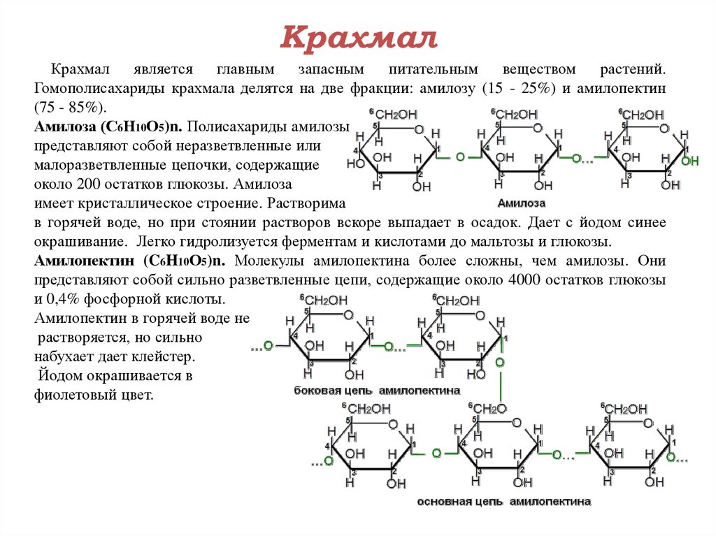 Крахмал сложное вещество. Строение крахмала 2 фракции. Строение молекулы крахмала амилоза и амилопектин. Крахмал формула амилоза и амилопектин. Амилоза строение молекулы.