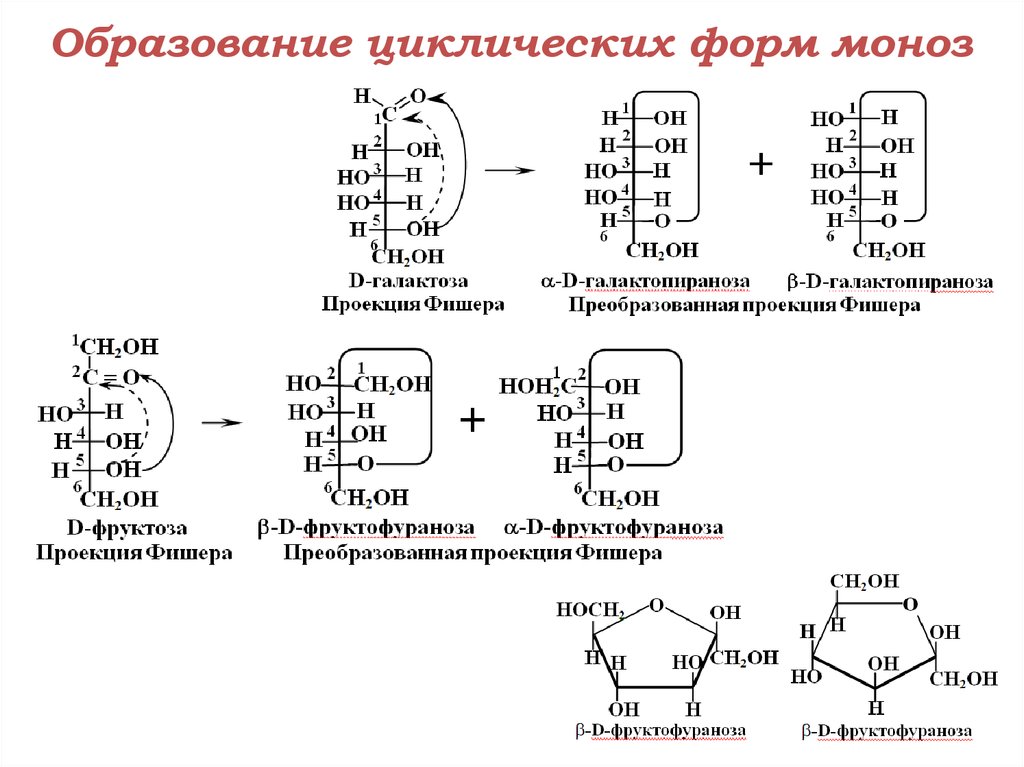 Схема таутомерных превращений d галактозы