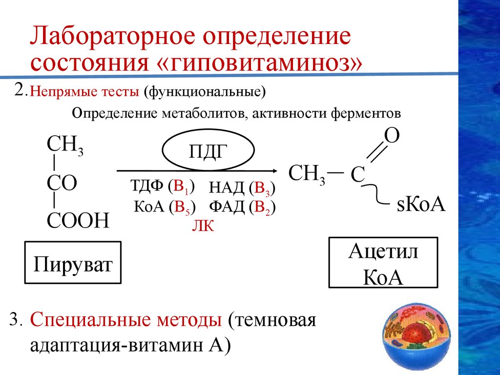 Определенное состояние. Лабораторные методы определения витаминов. Лабораторные методы определения состояния «гиповитаминоз. Лабораторные методы определения гиповитаминоза. Лабораторные признаки гиповитаминоза.